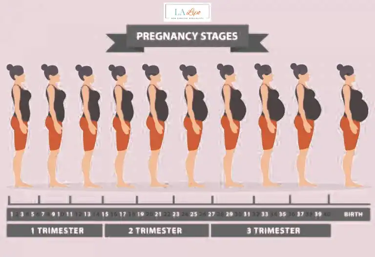 First Trimester (Weeks 1–12): Early Changes You Might Not Notice Lewes